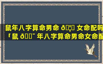 鼠年八字算命男命 🦊 女命配吗「鼠 🐯 年八字算命男命女命配吗好吗」